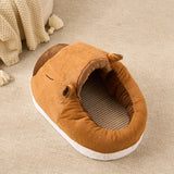 cat climbing bed
