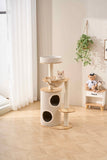CAT CLIMBING FRAME