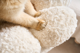 CAT CLIMBING FRAME