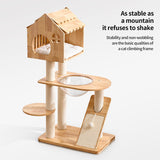 cat climbing frame
